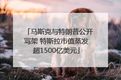马斯克与特朗普公开骂架 特斯拉市值蒸发超1500亿美元