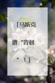 马斯克遭“背刺”！