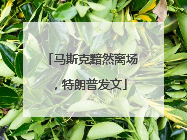 马斯克黯然离场，特朗普发文