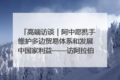 高端访谈｜阿中愿携手维护多边贸易体系和发展中国家利益——访阿拉伯议会议长亚马希