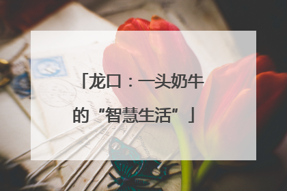龙口：一头奶牛的“智慧生活”