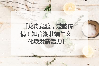 龙舟竞渡，楚韵传情！知音湖北端午文化焕发新活力