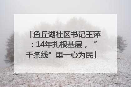 鱼丘湖社区书记王萍：14年扎根基层，“千条线”里一心为民