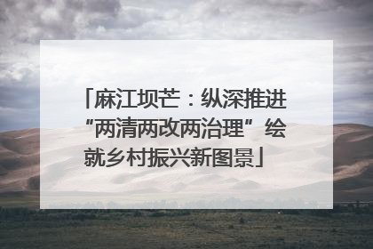 麻江坝芒：纵深推进“两清两改两治理”绘就乡村振兴新图景