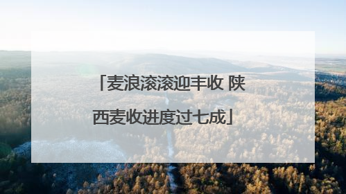 麦浪滚滚迎丰收 陕西麦收进度过七成