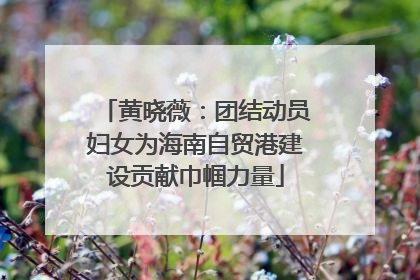黄晓薇：团结动员妇女为海南自贸港建设贡献巾帼力量