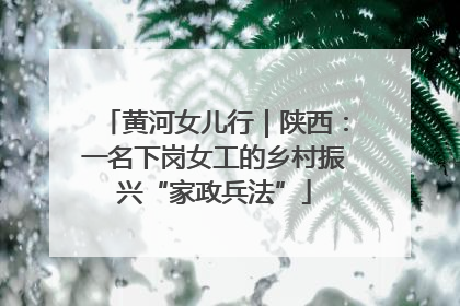 黄河女儿行｜陕西：一名下岗女工的乡村振兴“家政兵法”