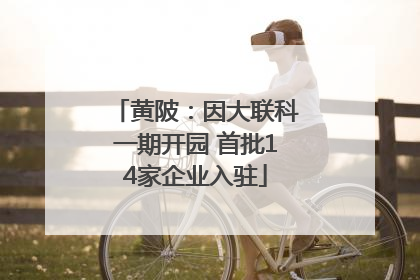 黄陂：因大联科一期开园 首批14家企业入驻