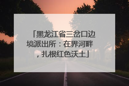黑龙江省三岔口边境派出所：在界河畔，扎根红色沃土