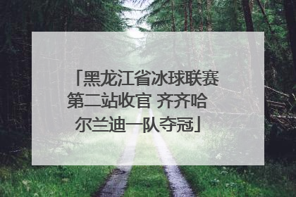 黑龙江省冰球联赛第二站收官 齐齐哈尔兰迪一队夺冠