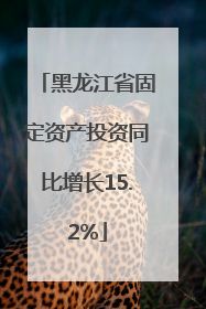黑龙江省固定资产投资同比增长15.2%