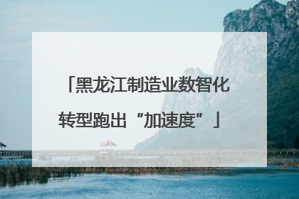 黑龙江制造业数智化转型跑出“加速度”