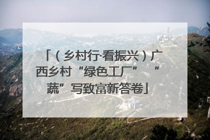 （乡村行·看振兴）广西乡村“绿色工厂” “蔬”写致富新答卷