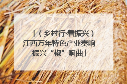 （乡村行·看振兴）江西万年特色产业奏响振兴“椒”响曲