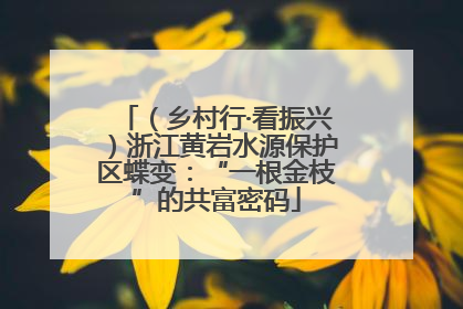 （乡村行·看振兴）浙江黄岩水源保护区蝶变：“一根金枝”的共富密码