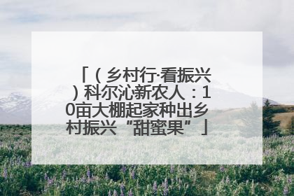 （乡村行·看振兴）科尔沁新农人：10亩大棚起家种出乡村振兴“甜蜜果”