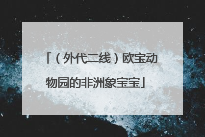 （外代二线）欧宝动物园的非洲象宝宝