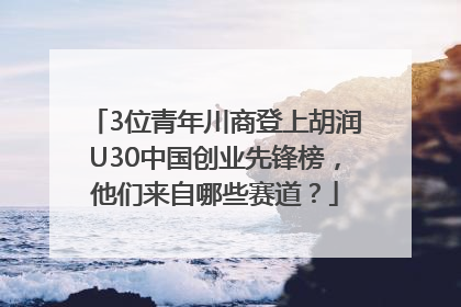 3位青年川商登上胡润U30中国创业先锋榜，他们来自哪些赛道？