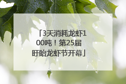 3天消耗龙虾100吨！第25届盱眙龙虾节开幕