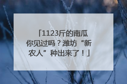 1123斤的南瓜你见过吗？潍坊“新农人”种出来了！