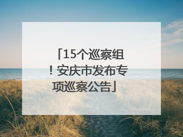 15个巡察组！安庆市发布专项巡察公告