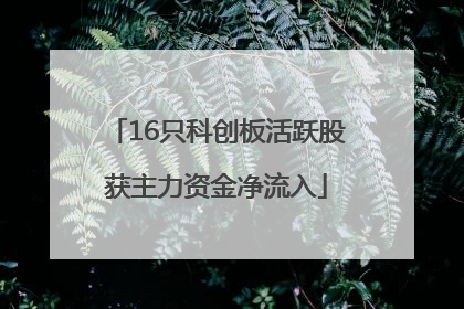16只科创板活跃股获主力资金净流入