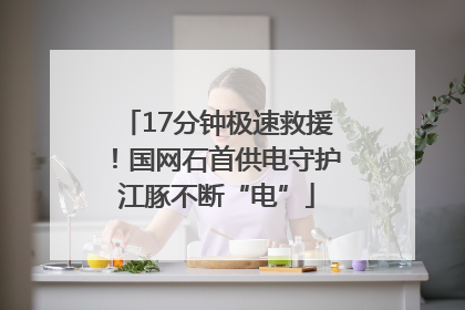 17分钟极速救援！国网石首供电守护江豚不断“电”