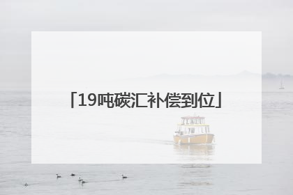 19吨碳汇补偿到位
