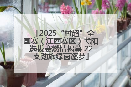 2025“村超”全国赛（江西赛区）弋阳选拔赛燃情揭幕 22支劲旅绿茵逐梦