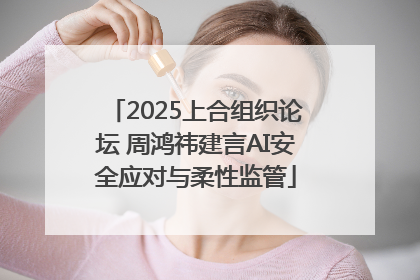 2025上合组织论坛 周鸿祎建言AI安全应对与柔性监管