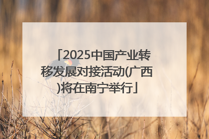 2025中国产业转移发展对接活动(广西)将在南宁举行