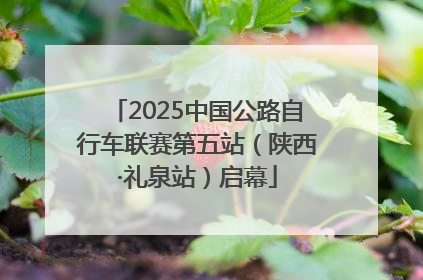 2025中国公路自行车联赛第五站（陕西·礼泉站）启幕