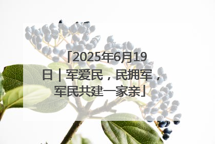 2025年6月19日｜军爱民，民拥军，军民共建一家亲