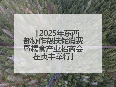 2025年东西部协作帮扶促消费暨糯食产业招商会在贞丰举行