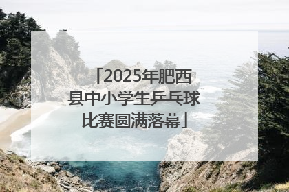2025年肥西县中小学生乒乓球比赛圆满落幕
