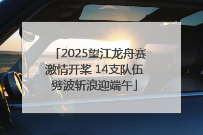 2025望江龙舟赛激情开桨 14支队伍劈波斩浪迎端午