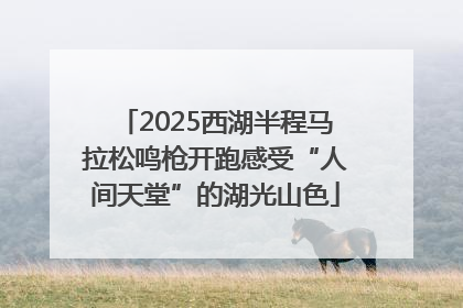 2025西湖半程马拉松鸣枪开跑感受“人间天堂”的湖光山色
