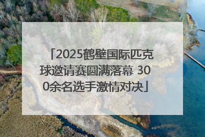 2025鹤壁国际匹克球邀请赛圆满落幕 300余名选手激情对决