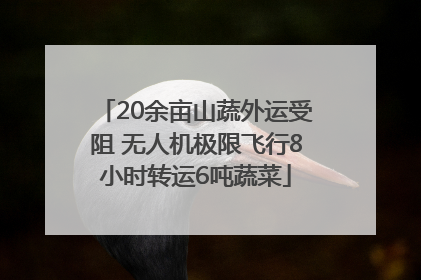 20余亩山蔬外运受阻 无人机极限飞行8小时转运6吨蔬菜