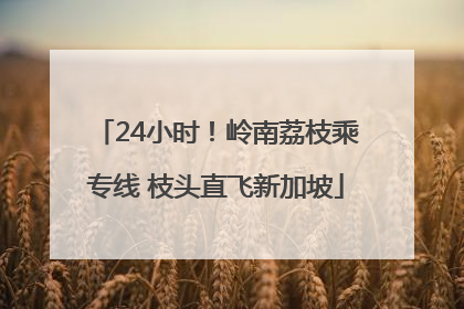 24小时！岭南荔枝乘专线 枝头直飞新加坡
