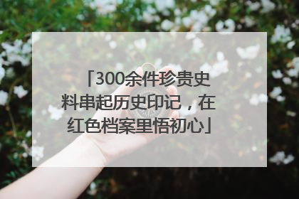 300余件珍贵史料串起历史印记，在红色档案里悟初心