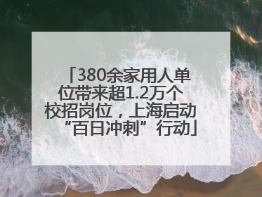 380余家用人单位带来超1.2万个校招岗位，上海启动“百日冲刺”行动