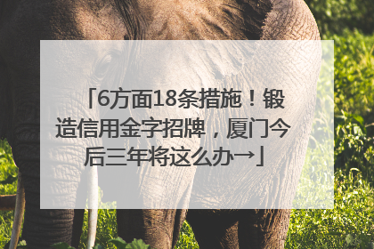 6方面18条措施！锻造信用金字招牌，厦门今后三年将这么办→