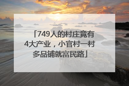 749人的村庄竟有4大产业，小官村一村多品铺就富民路