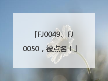 FJ0049、FJ0050，被点名！