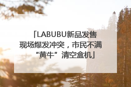 LABUBU新品发售现场爆发冲突，市民不满“黄牛”清空盒机
