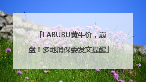 LABUBU黄牛价，崩盘！多地消保委发文提醒