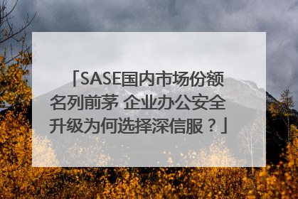 SASE国内市场份额名列前茅 企业办公安全升级为何选择深信服？