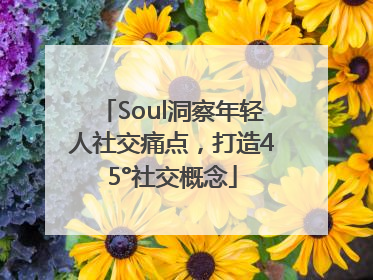 Soul洞察年轻人社交痛点，打造45°社交概念