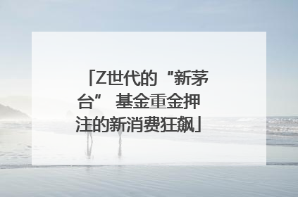 Z世代的“新茅台” 基金重金押注的新消费狂飙